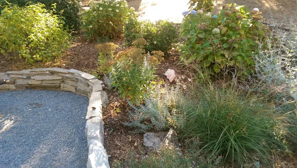 Local lawn mowing service in Auburn, CA - Norrell Land Services