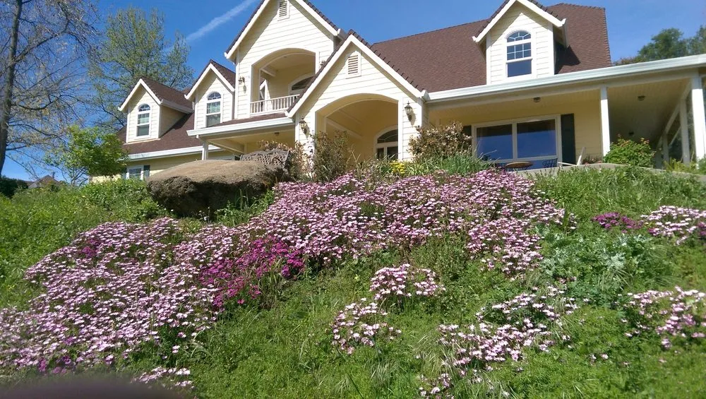 Trusted landscape installation for beautiful yards in Auburn, CA by Norrell Land Services