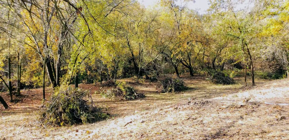 Local lawn care service for beautiful yards across Auburn, CA - Norrell Land Services