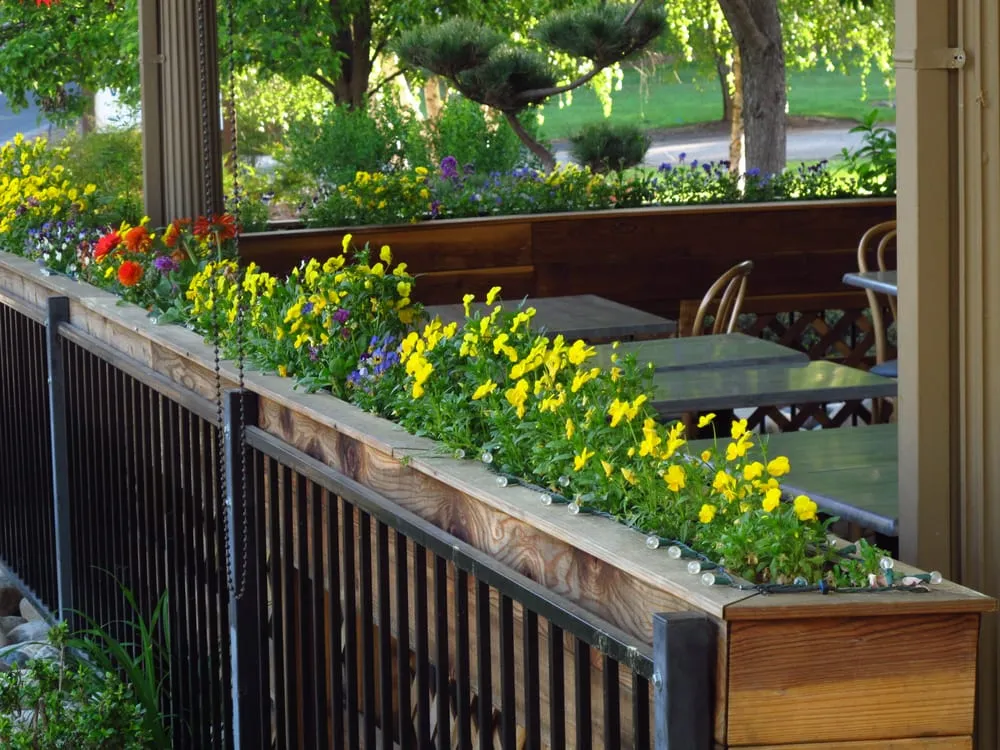 Custom residential landscaping near you across Auburn, CA - Norrell Land Services