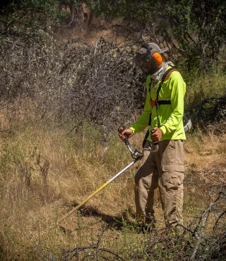 Custom landscaping services experts serving Auburn, CA - Norrell Land Services