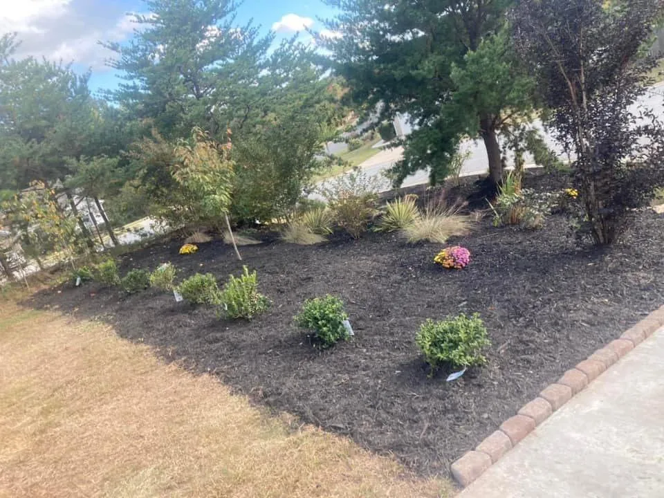 Expert lawn care service in Alexis, NC - Norris Grading & Landscaping