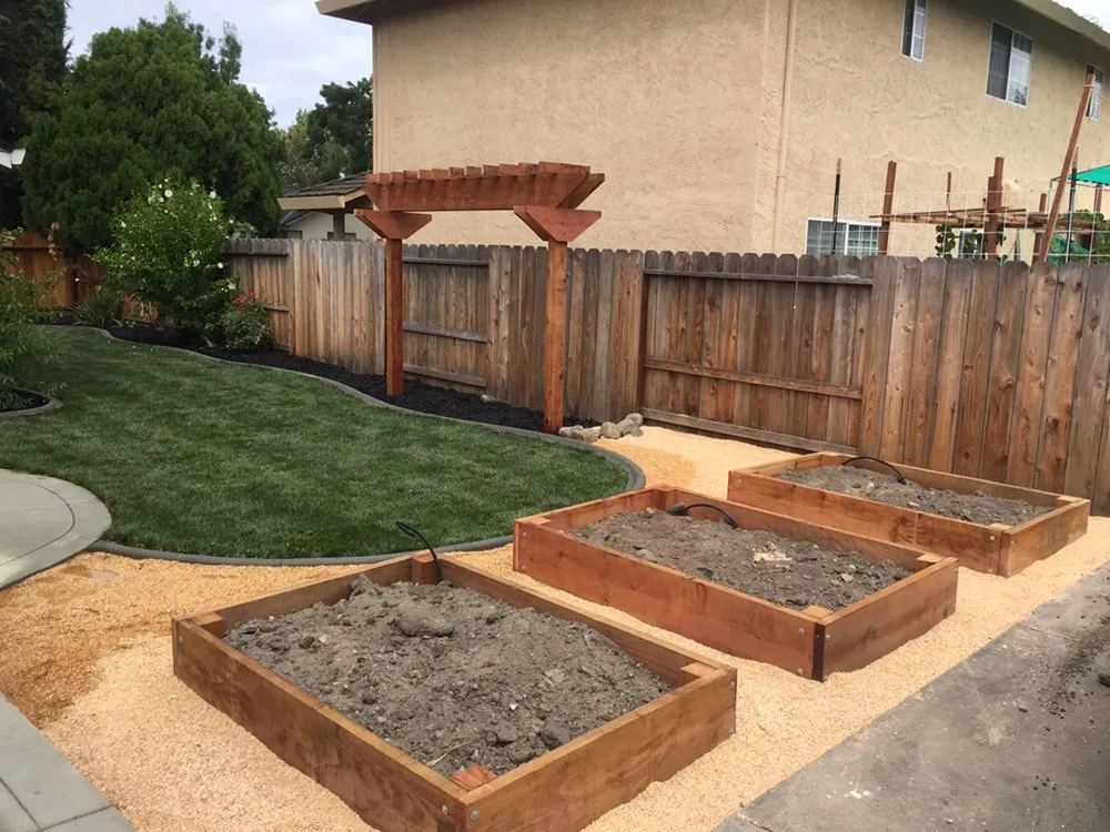 Expert yard cleanup service in Stockton, CA by Norris Landscaping