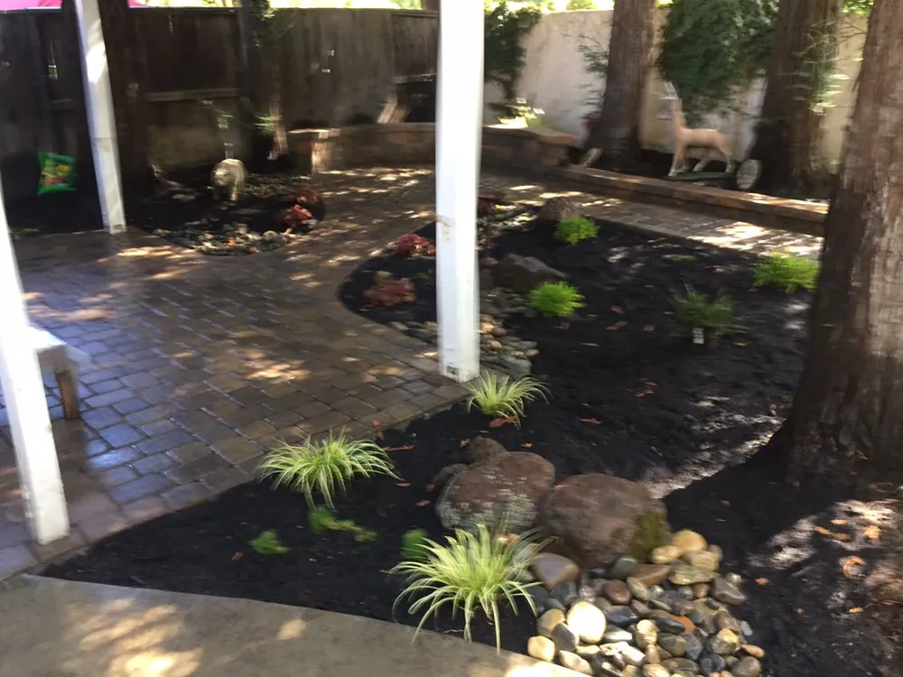 Affordable landscaping services for year-round maintenance across Stockton, CA - Norris Landscaping