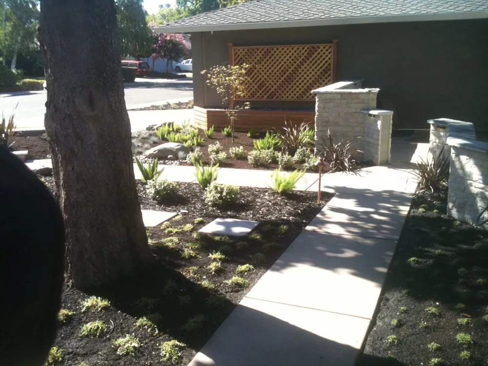 Top-rated yard cleanup service for beautiful yards in Stockton, CA by Norris Landscaping