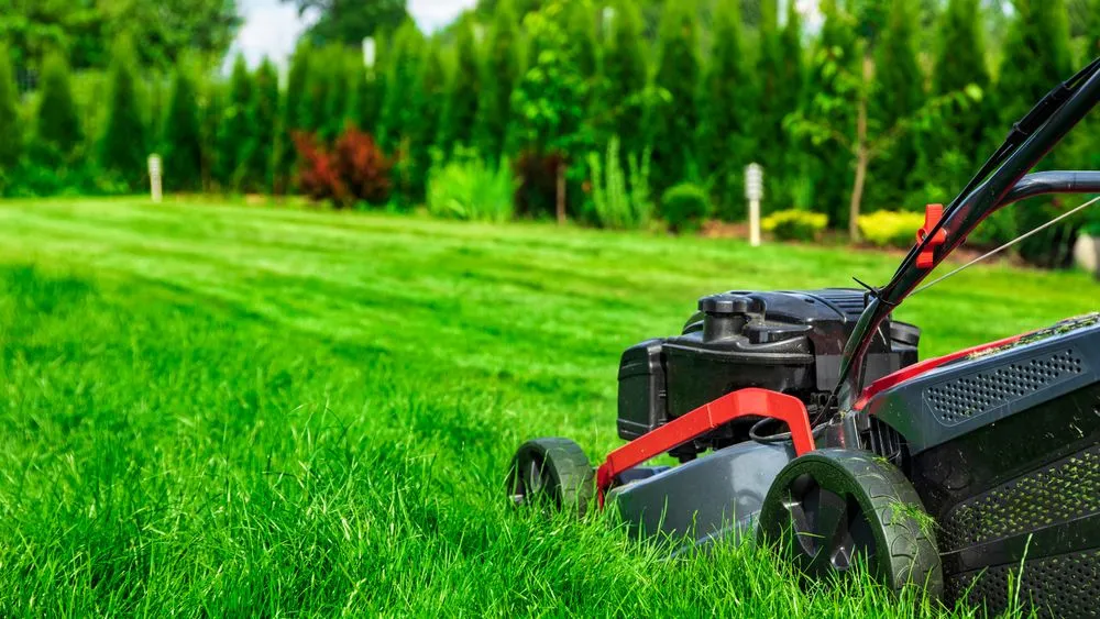 Top-rated lawn mowing service in Canton, OH by Norris Lawn Care & Landscaping