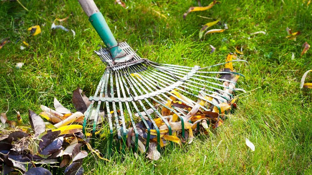 Affordable landscape design for residential properties across Canton, OH - Norris Lawn Care & Landscaping