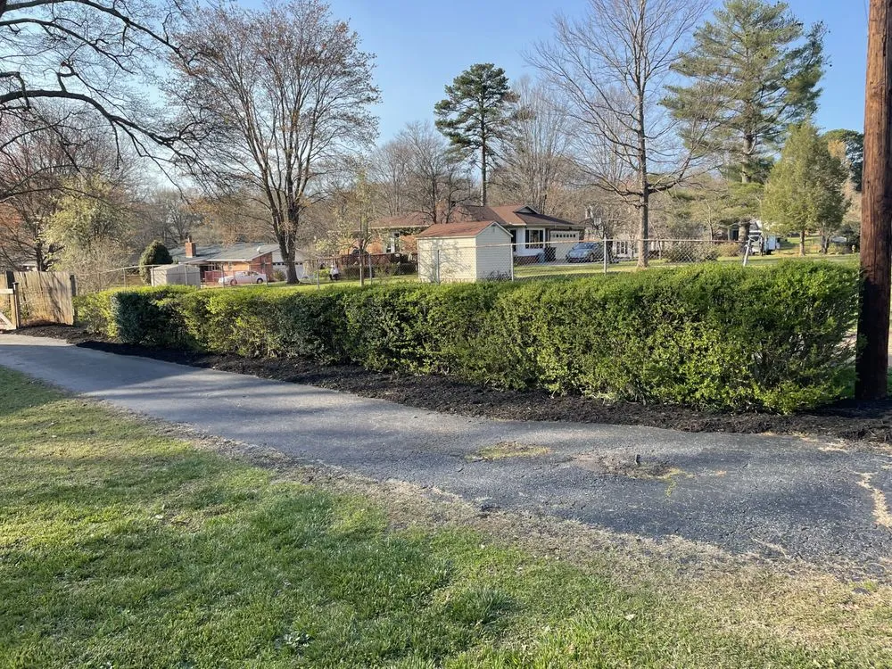 Top-rated landscaping services experts serving Greenville, SC - Norris Lawn Care