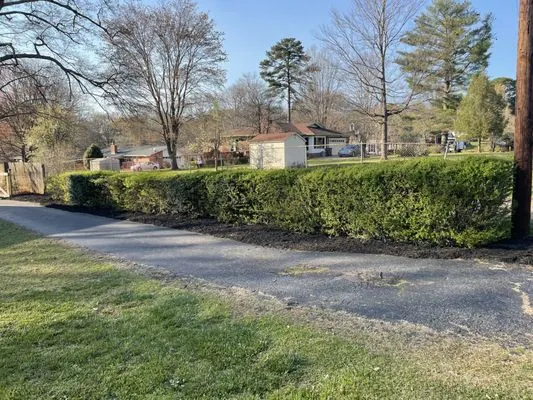 Norris Lawn Care Logo