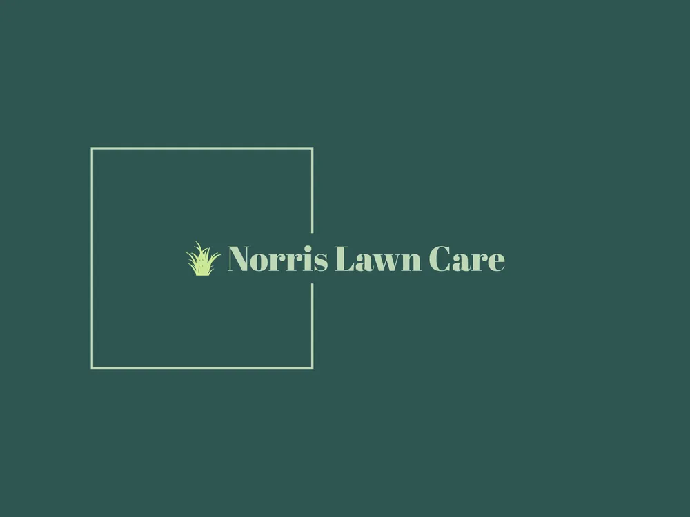 Expert yard maintenance for year-round maintenance across Tonganoxie, KS - Norris Lawn Care