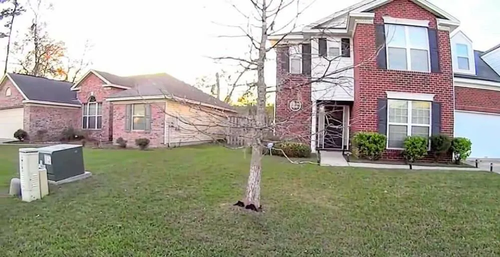 Reliable landscaping services near you across Gloverville, SC - Norris Lawncare & Pressure Washing Services