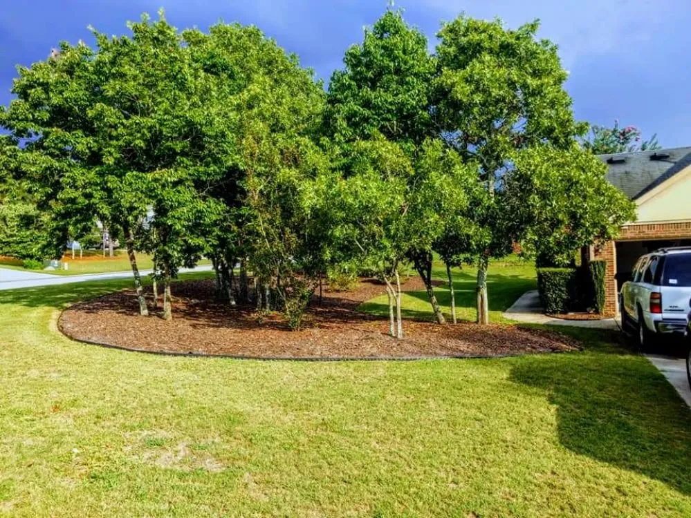 Expert yard maintenance for year-round maintenance in Gloverville, SC by Norris Lawncare & Pressure Washing Services