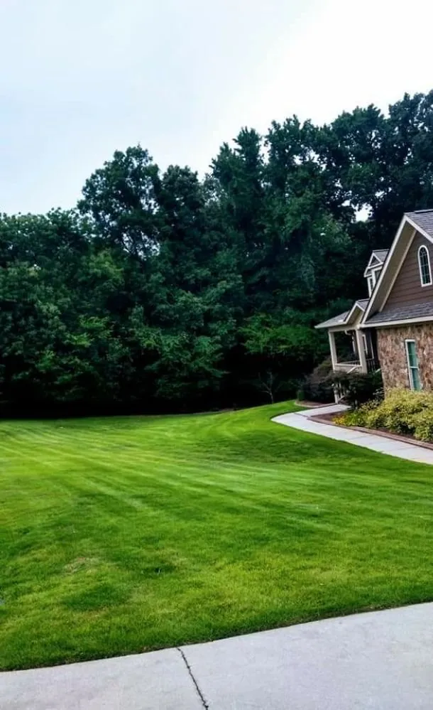 Custom landscaping services for year-round maintenance in Gloverville, SC by Norris Lawncare & Pressure Washing Services