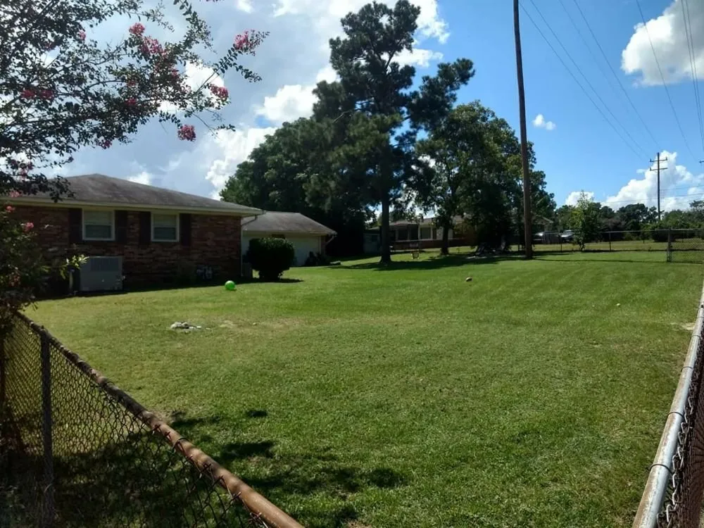 Affordable yard cleanup service in Gloverville, SC - Norris Lawncare & Pressure Washing Services