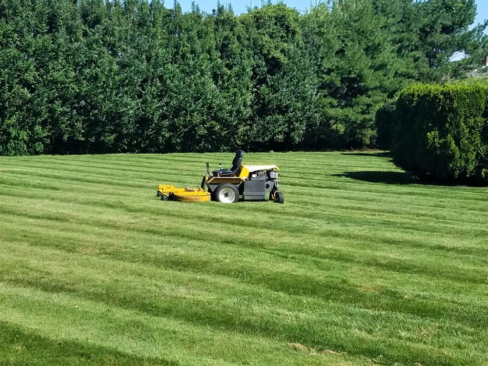 Expert lawn care service experts serving East Hampton, NY - Norris Organics