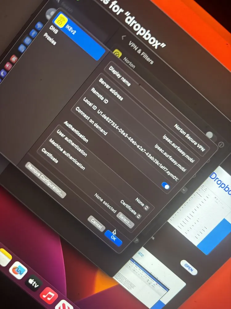 Affordable yard maintenance in Golden, CO by Norse Tree