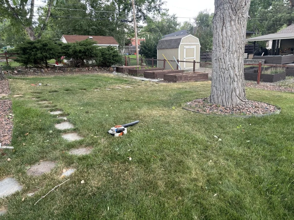 Expert outdoor landscaping in Golden, CO by Norse Tree