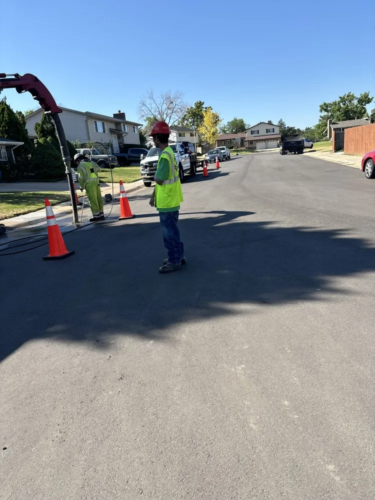 Top-rated landscape installation in Golden, CO - Norse Tree