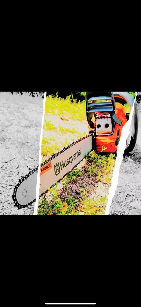 Local residential landscaping in Golden, CO - Norse Tree