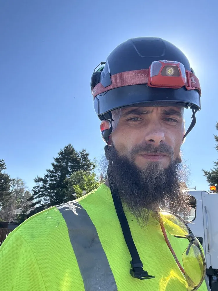 Affordable landscaping services for beautiful yards across Golden, CO - Norse Tree