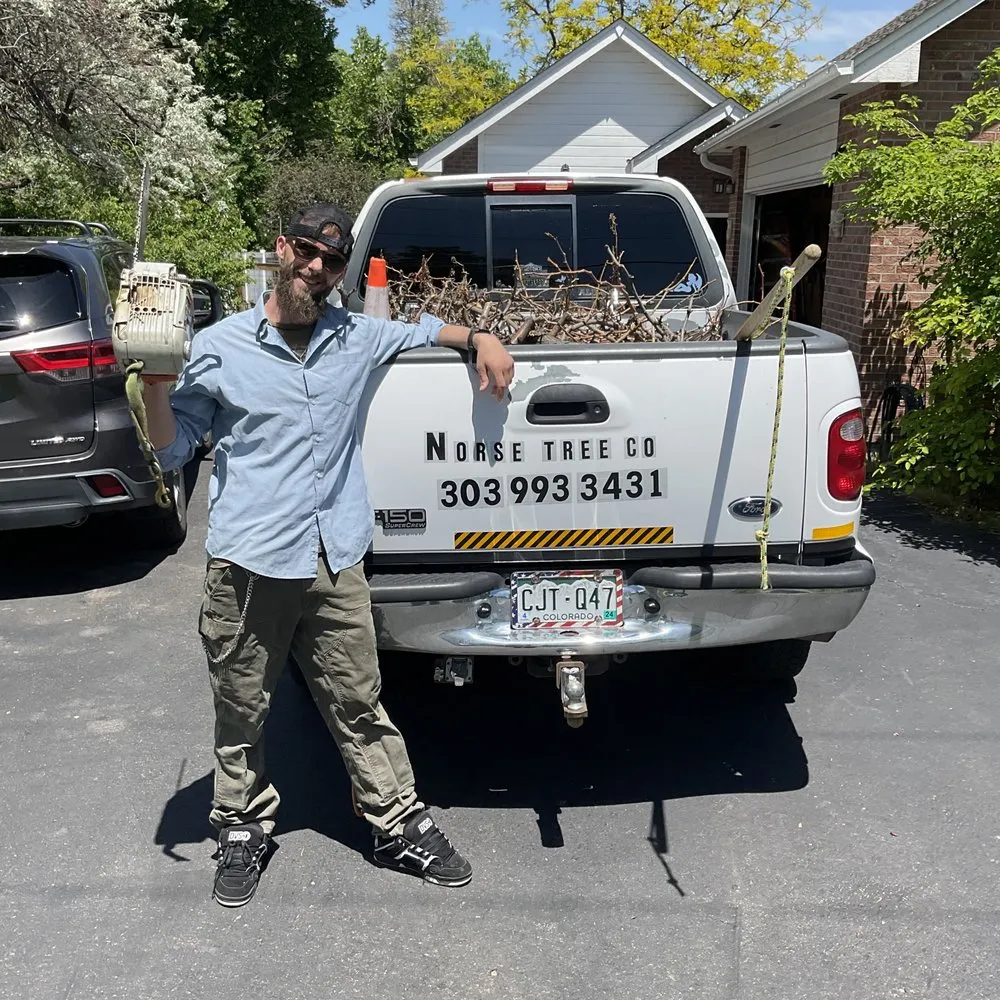 Custom yard cleanup service experts serving Golden, CO - Norse Tree