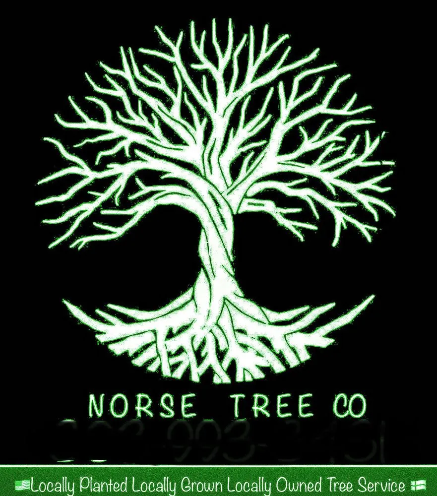 Professional yard maintenance experts serving Golden, CO - Norse Tree