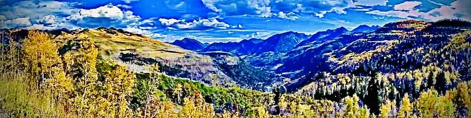 Reliable landscape design experts serving Golden, CO - Norse Tree