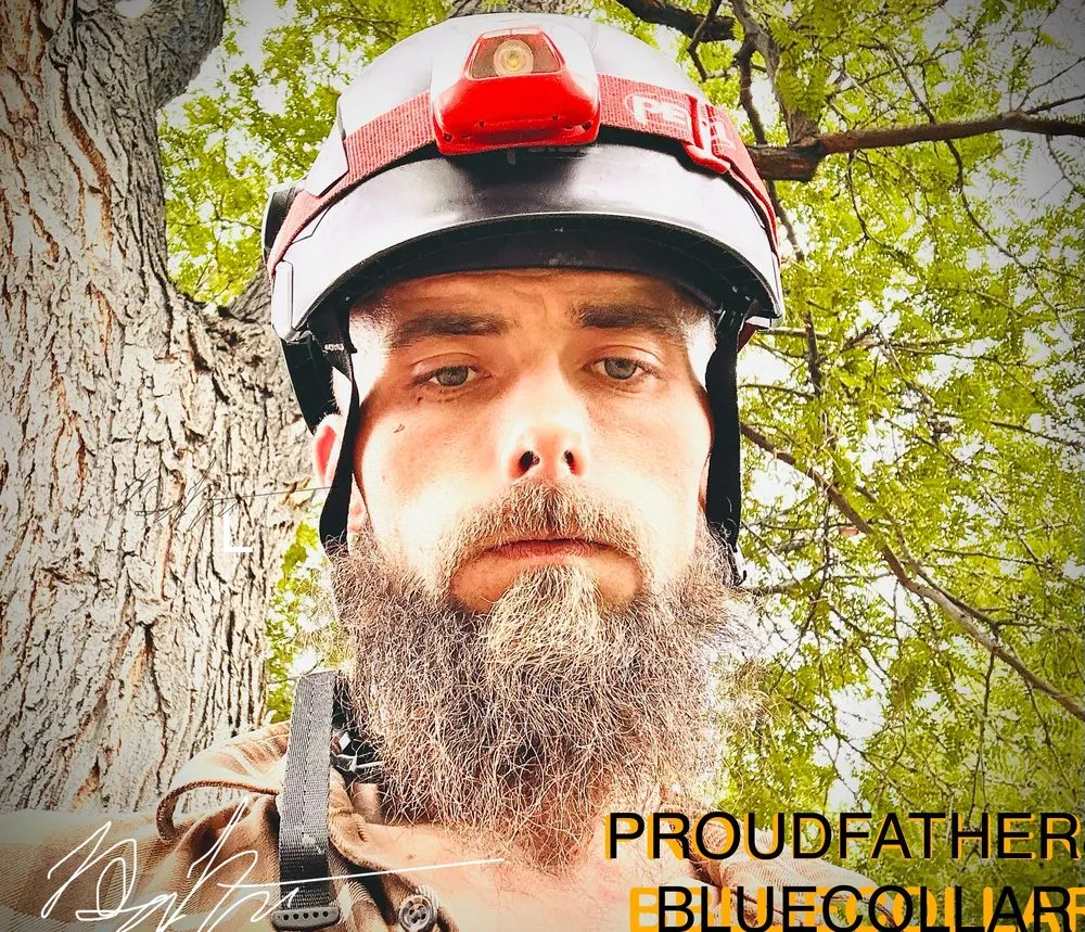 Affordable lawn mowing service in Golden, CO - Norse Tree