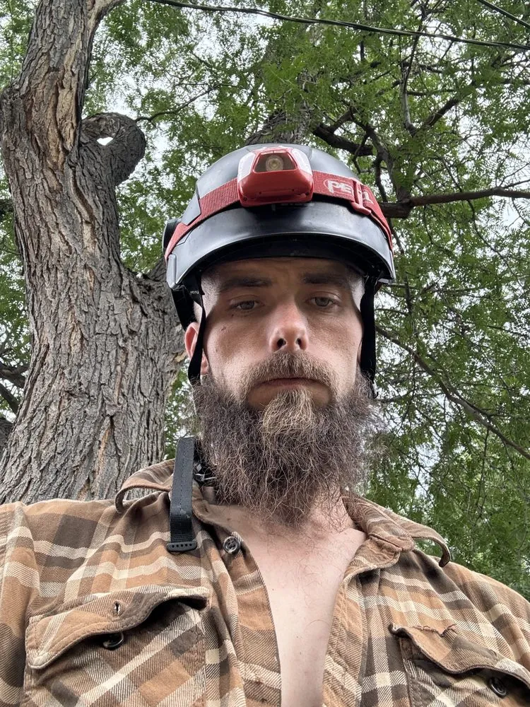 Affordable lawn mowing service in Golden, CO - Norse Tree