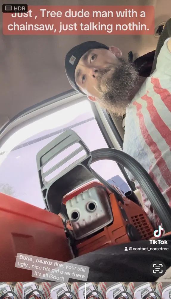 Professional lawn mowing service experts serving Golden, CO - Norse Tree