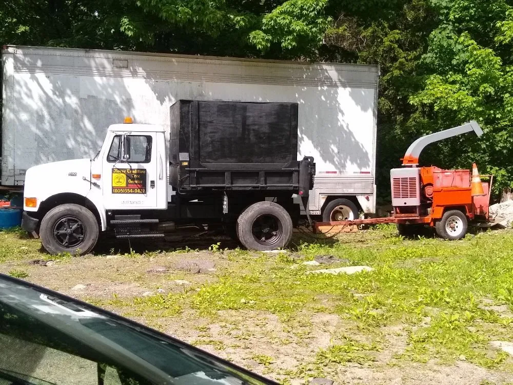 Reliable yard cleanup service experts serving Woonsocket, SD - Norse Tree Service