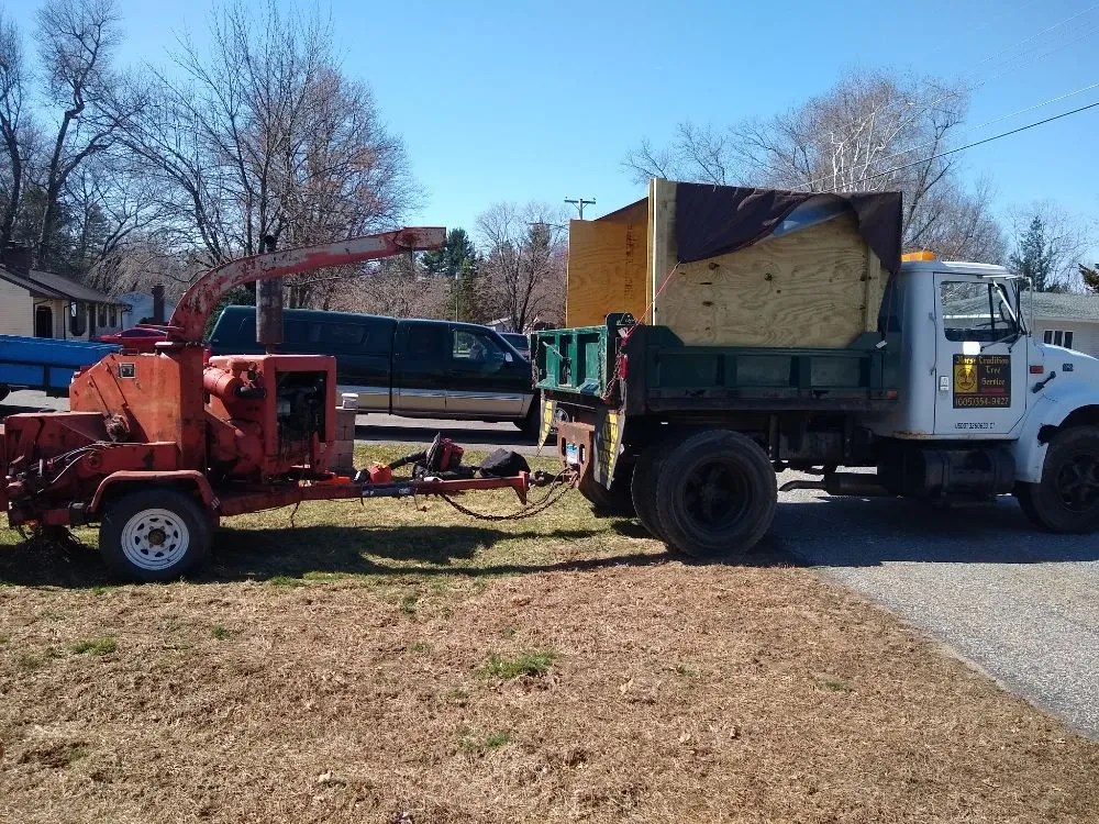 Expert landscape installation in Woonsocket, SD - Norse Tree Service