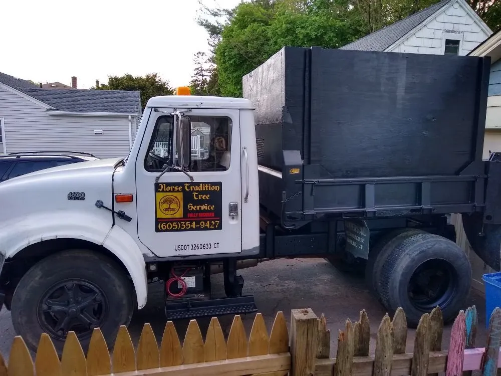 Professional lawn mowing service for outdoor upgrades across Woonsocket, SD - Norse Tree Service