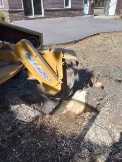 Local yard maintenance in Woonsocket, SD by Norse Tree Service