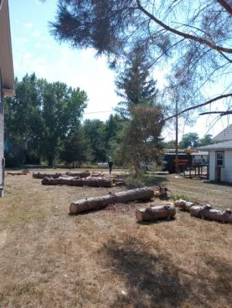Custom lawn care service for year-round maintenance in Woonsocket, SD by Norse Tree Service