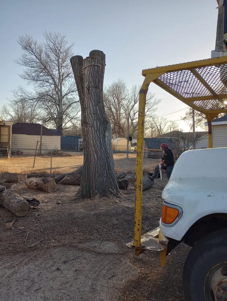 Trusted landscape design in Woonsocket, SD - Norse Tree Service