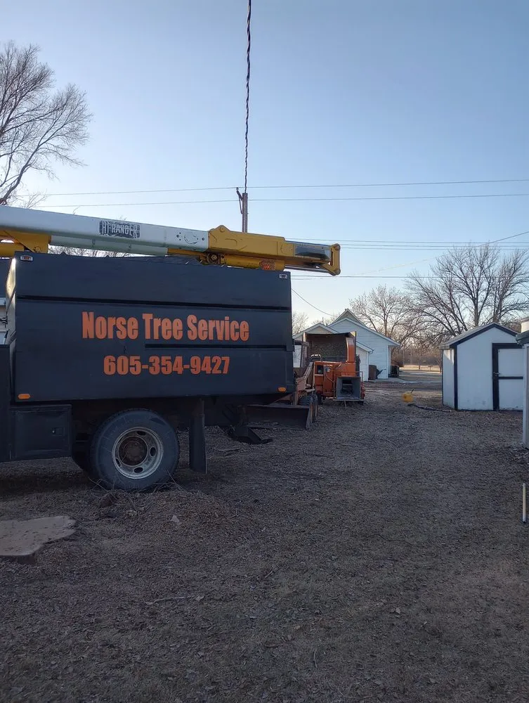 Local landscaping services in Woonsocket, SD - Norse Tree Service