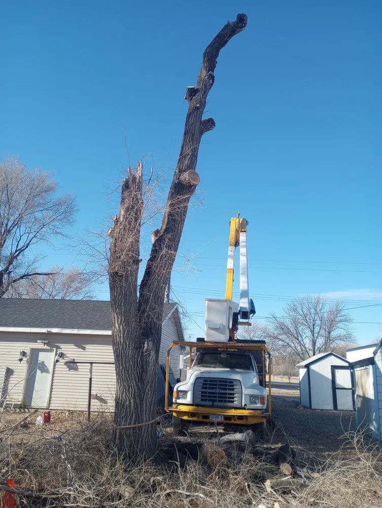 Top-rated yard maintenance in Woonsocket, SD by Norse Tree Service