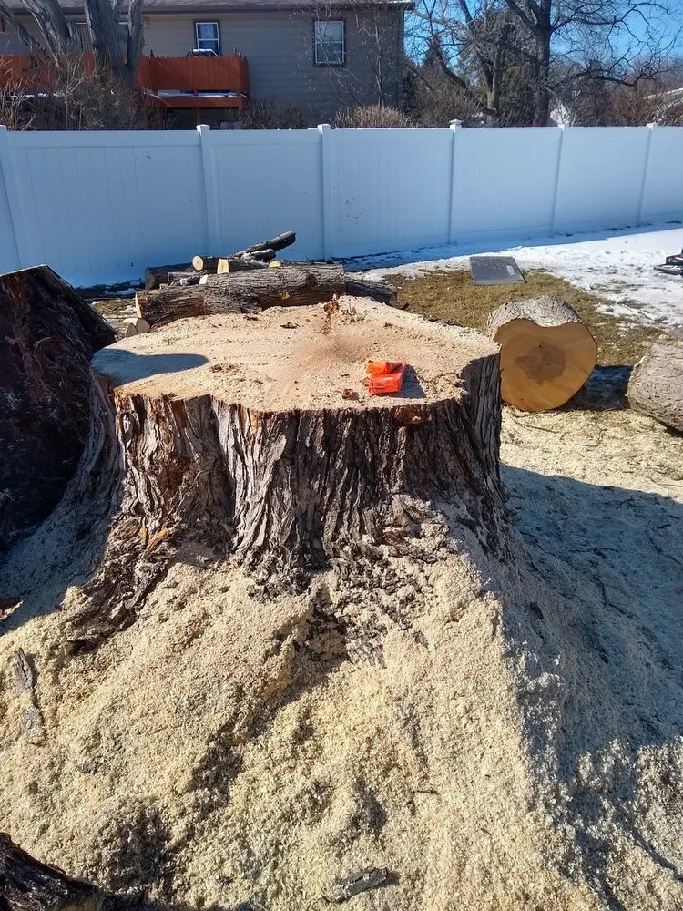Expert residential landscaping in Woonsocket, SD - Norse Tree Service