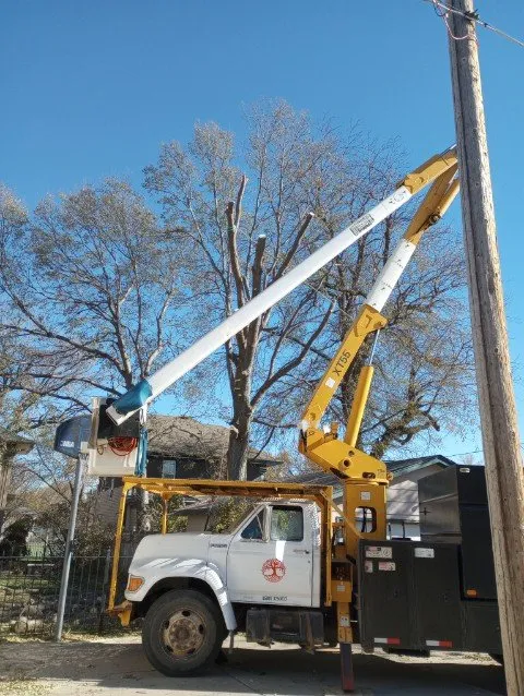 Trusted outdoor landscaping experts serving Woonsocket, SD - Norse Tree Service