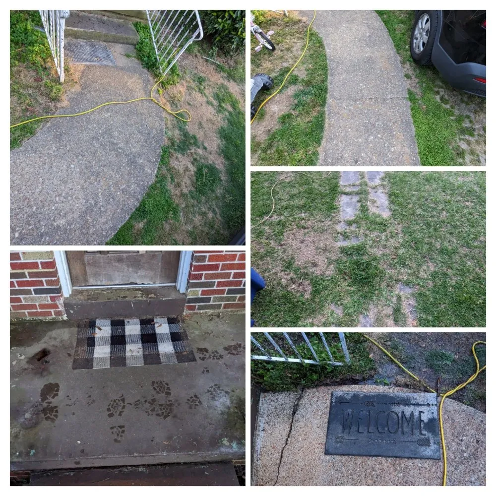 Professional residential landscaping for residential properties across Elmore, AL - Norseman Enterprises