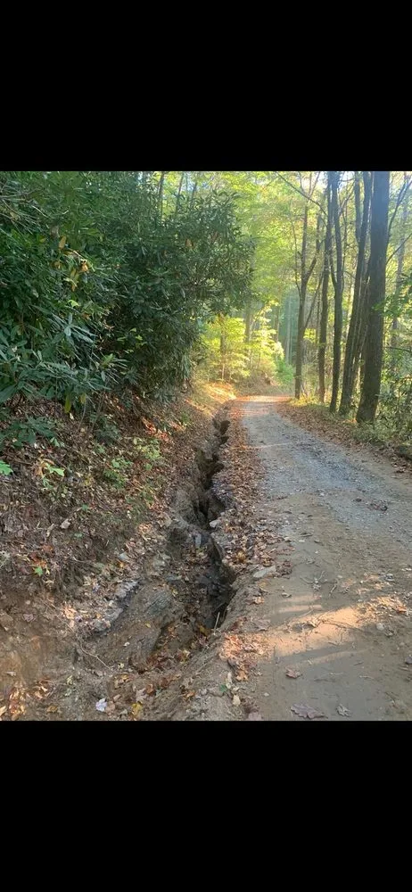 Professional yard maintenance in Kingsport, TN by Nortek Construction Services