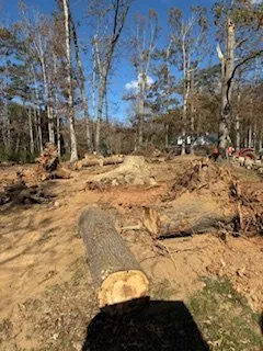 Professional yard maintenance in Kingsport, TN by Nortek Construction Services