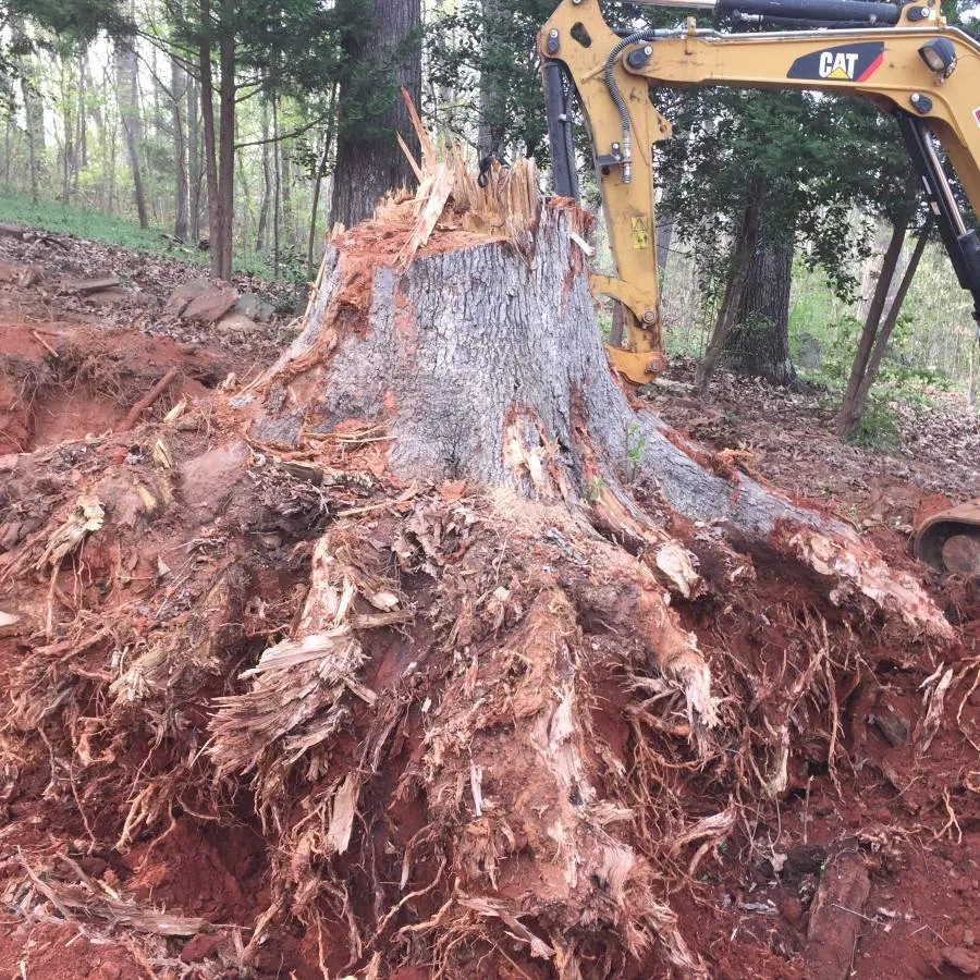 Trusted landscaping services for homes across Kingsport, TN - Nortek Construction Services