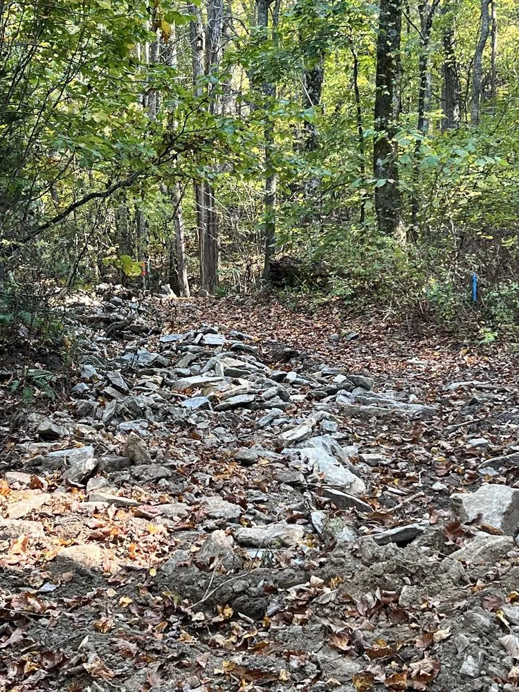 Reliable yard cleanup service for beautiful yards across Kingsport, TN - Nortek Construction Services