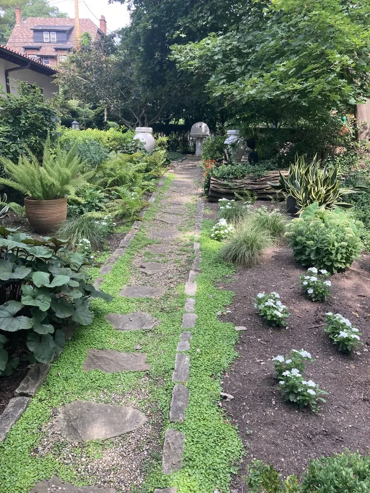 Local yard cleanup service in Allison Park, PA - North & South Landscape