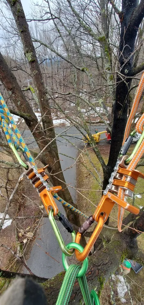 Local yard maintenance for residential properties in North Adams, MA by North Adams Tree and Landscaping