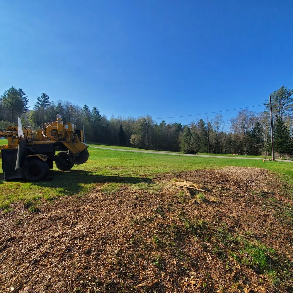 Trusted landscape design in North Adams, MA - North Adams Tree and Landscaping