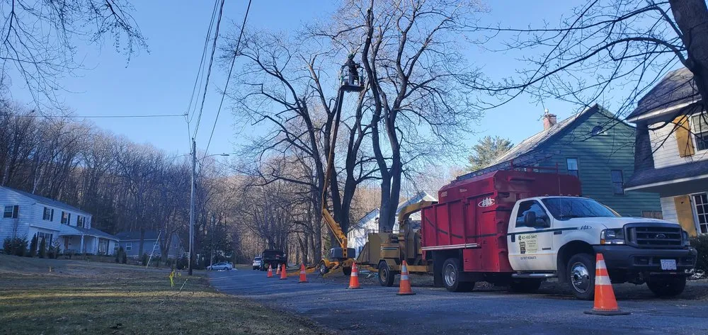Professional residential landscaping experts serving North Adams, MA - North Adams Tree and Landscaping