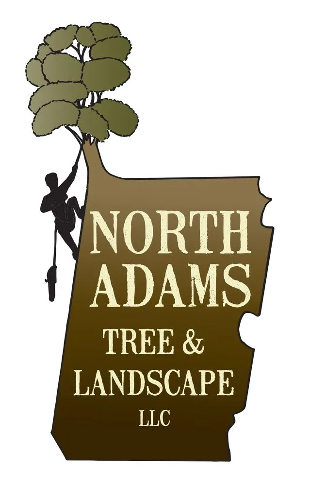 Professional outdoor landscaping experts serving North Adams, MA - North Adams Tree and Landscaping